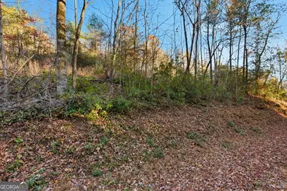 201 Spookhaven Lane, Clarkesville, GA 30523 - Photo 3