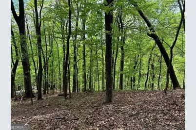 0 Valley View Drive, Big Canoe, GA 30143 - Photo 3