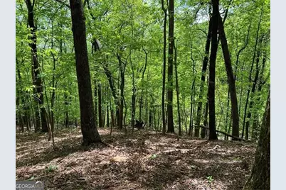 0 Valley View Drive, Big Canoe, GA 30143 - Photo 11
