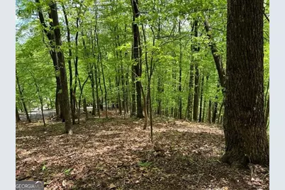 0 Valley View Drive, Big Canoe, GA 30143 - Photo 7