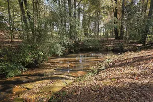 1412 &amp 1418 Yatesville Hwy, Thomaston, GA 30286 - Photo 51