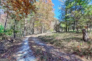 225 Whetstone Mountain Rd, Mountain Rest, SC 29664 - Photo 71