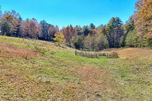 225 Whetstone Mountain Rd, Mountain Rest, SC 29664 - Photo 83