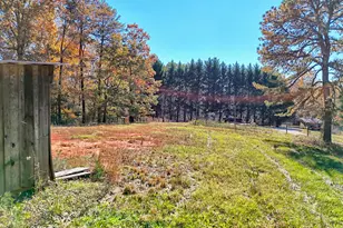 225 Whetstone Mountain Rd, Mountain Rest, SC 29664 - Photo 93