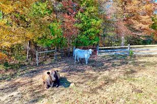 225 Whetstone Mountain Rd, Mountain Rest, SC 29664 - Photo 87