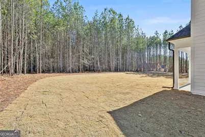 971 Traveler Lane #43, Williamson, GA 30292 - Photo 51