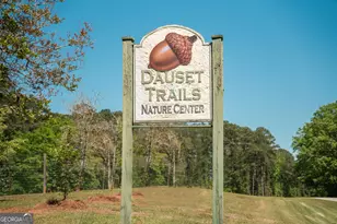 142 Post Oak Dr, Jackson, GA 30233 - Photo 27