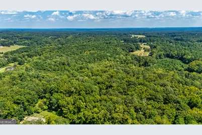 210 Mockingbird Lane, Brooks, GA 30205 - Photo 87