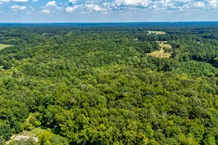 210 Mockingbird Ln, Brooks, GA 30205 - Photo 87