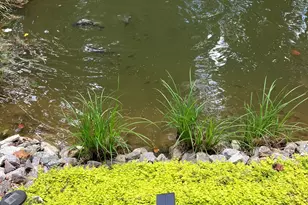 3454 Hwy 254, Cleveland, GA 30528 - Photo 37