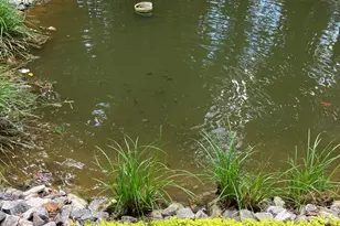 3454 Hwy 254, Cleveland, GA 30528 - Photo 39