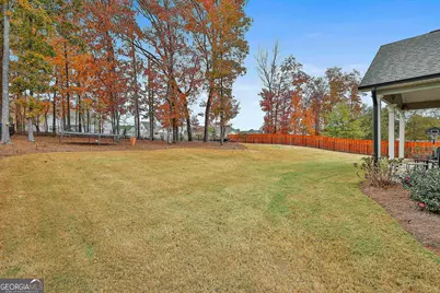 155 Wet Stone Road, Senoia, GA 30276 - Photo 43