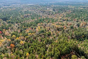 385 Stembridge Rd SE, Milledgeville, GA 31061 - Photo 75