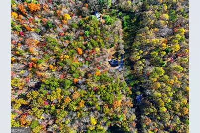 138 Cottonwood Lane, Blue Ridge, GA 30513 - Photo 35