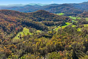 138 Cottonwood Ln, Blue Ridge, GA 30513 - Photo 37