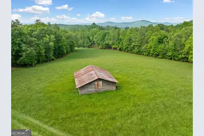 10442 Hwy 325, Blairsville, GA 30512 - Photo 3