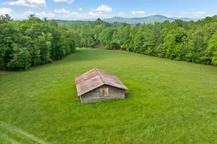 10442 Hwy 325, Blairsville, GA 30512 - Photo 3