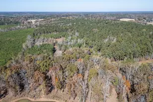 104 Beaver Dam Dr, Eatonton, GA 31024 - Photo 49