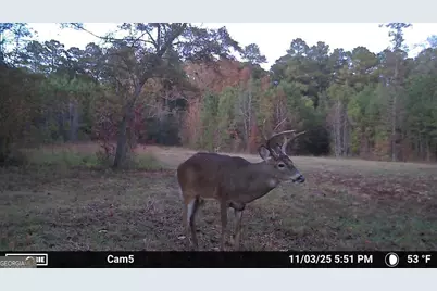 104 Beaver Dam Drive, Eatonton, GA 31024 - Photo 55