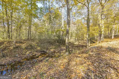 2470 Dr George Ward Drive, Elberton, GA 30635 - Photo 61