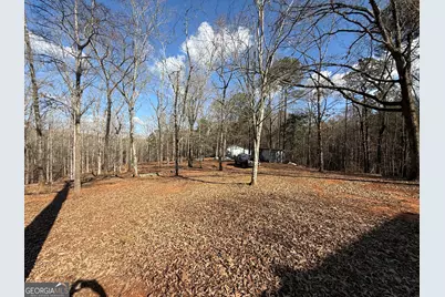 318 Chalybeate Springs Road, Woodland, GA 31836 - Photo 71