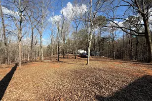 318 Chalybeate Springs Rd, Woodland, GA 31836 - Photo 71