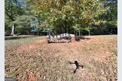 318 Chalybeate Springs Road, Woodland, GA 31836 - Photo 67