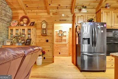 318 Chalybeate Springs Road, Woodland, GA 31836 - Photo 33