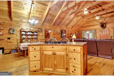 318 Chalybeate Springs Road, Woodland, GA 31836 - Photo 23