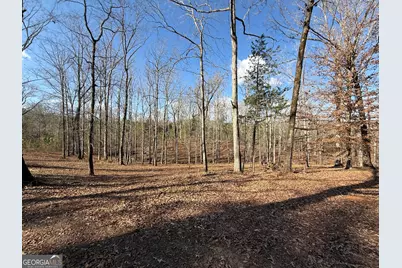 318 Chalybeate Springs Road, Woodland, GA 31836 - Photo 73