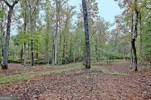 318 Chalybeate Springs Rd, Woodland, GA 31836 - Photo 65