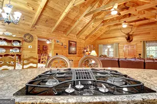 318 Chalybeate Springs Rd, Woodland, GA 31836 - Photo 25