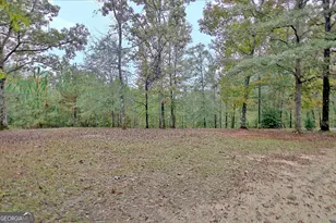 318 Chalybeate Springs Rd, Woodland, GA 31836 - Photo 57