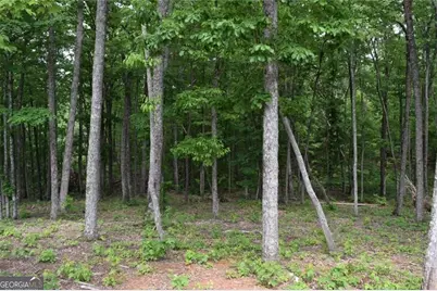 Lot 28 High Summit Drive #28, Talking Rock, GA 30175 - Photo 11