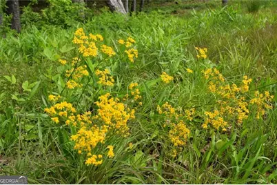 Lot 28 High Summit Drive #28, Talking Rock, GA 30175 - Photo 17