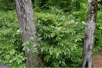 Lot 28 High Summit Drive #28, Talking Rock, GA 30175 - Photo 19