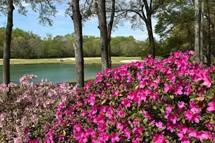 711 Bluff Rd, Statham, GA 30666 - Photo 71