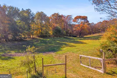 2207 Blacksnake Road, Mount Airy, GA 30563 - Photo 61