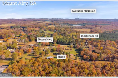 2207 Blacksnake Road, Mount Airy, GA 30563 - Photo 65