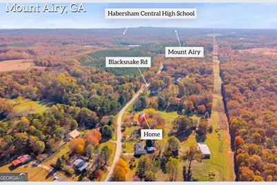 2207 Blacksnake Road, Mount Airy, GA 30563 - Photo 3