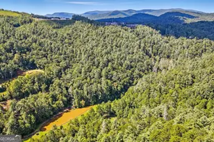 772 Rickman Airfield Rd, Clayton, GA 30525 - Photo 17