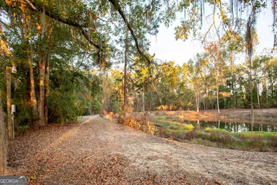 3190 Radio Station Road, Alma, GA 31510 - Photo 19