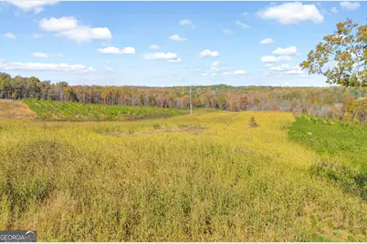 3366 Highway 51 S, Lula, GA 30554 - Photo 43