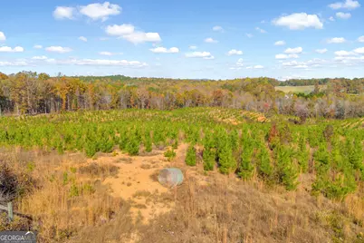 3366 Highway 51 S, Lula, GA 30554 - Photo 45