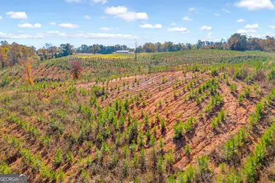 3366 Highway 51 S, Lula, GA 30554 - Photo 51