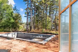 1010 Amasa Ln, Greensboro, GA 30642 - Photo 3