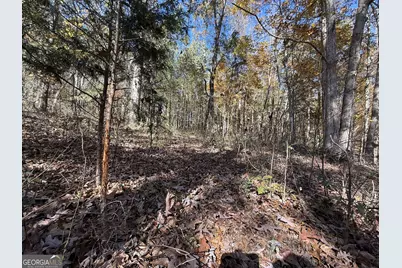 2 Lem Edwards Road, Colbert, GA 30628 - Photo 23