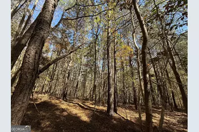 2 Lem Edwards Road, Colbert, GA 30628 - Photo 15