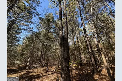 2 Lem Edwards Road, Colbert, GA 30628 - Photo 41