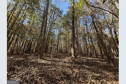 2 Lem Edwards Road, Colbert, GA 30628 - Photo 9